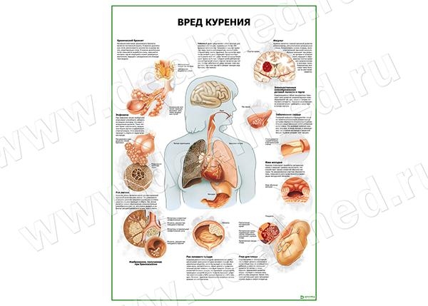 Статья о вреде курения